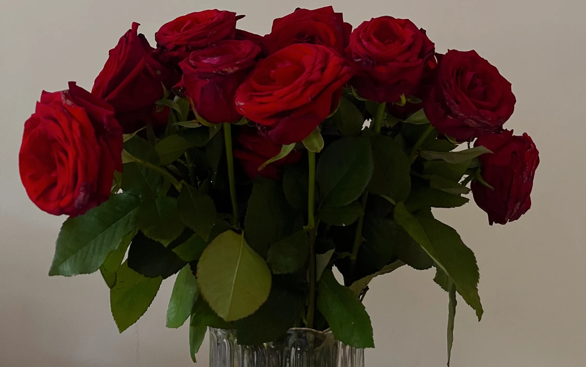 Best Flower Delivery Services for Last-Minute Valentine’s Surprises